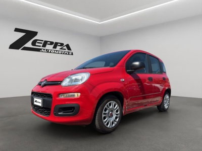 Fiat Panda 1.0 firefly hybrid s&s 70cv 5p.ti usata