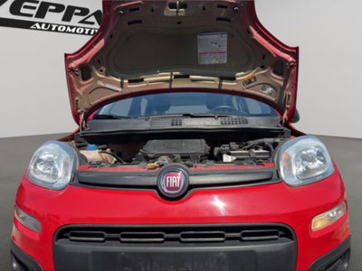 Fiat Panda 1.0 firefly hybrid s&s 70cv 5p.ti (19)