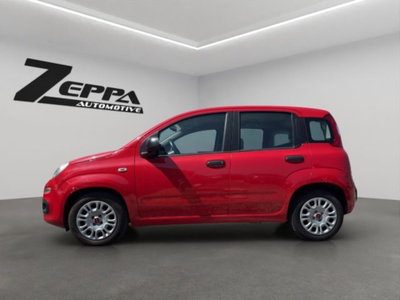 Fiat Panda 1.0 firefly hybrid s&s 70cv 5p.ti (2)