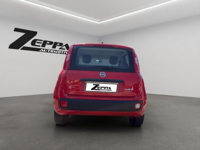 Fiat Panda 1.0 firefly hybrid s&s 70cv 5p.ti (4)