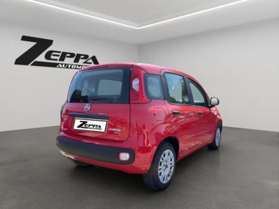 Fiat Panda 1.0 firefly hybrid s&s 70cv 5p.ti (5)