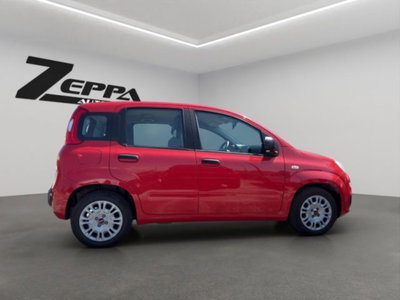 Fiat Panda 1.0 firefly hybrid s&s 70cv 5p.ti (6)