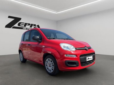 Fiat Panda 1.0 firefly hybrid s&s 70cv 5p.ti (7)