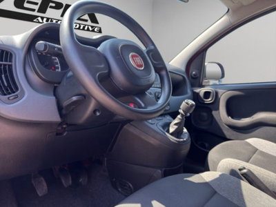 Fiat Panda 1.0 firefly hybrid s&s 70cv 5p.ti (8)