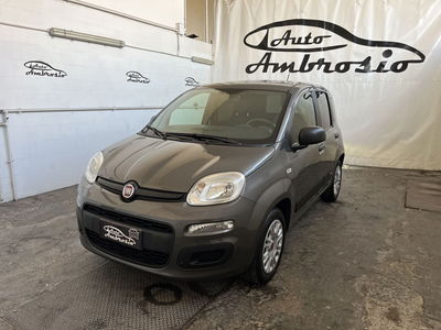 Fiat Panda 1.2 Pop usata