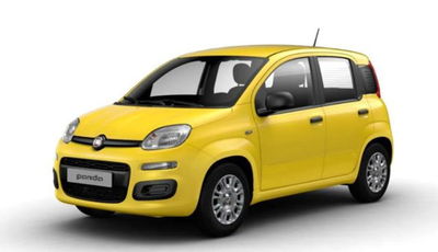 Fiat Panda 1.0 firefly hybrid s&s 70cv 5p.ti usata