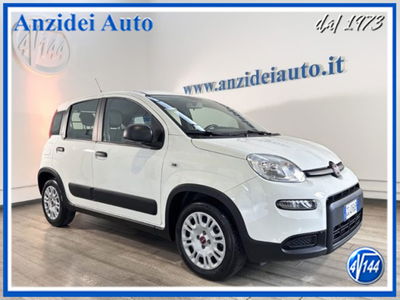 Fiat Panda van 1.0 hybrid Street 70cv 4p.ti serie 4 E6d usato