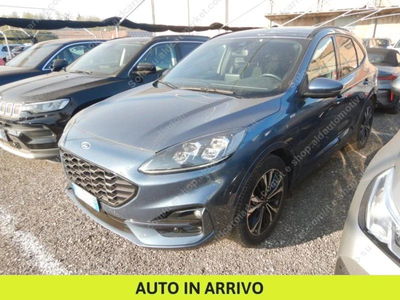 Ford Kuga 2.5 phev ST-Line X 2wd 243cv auto usata