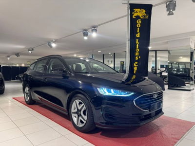 Ford Focus Station Wagon 1.5 EcoBlue 120 CV automatico SW Active Co-Pilot usata