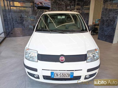 Fiat Panda 1.2 EasyPower usata