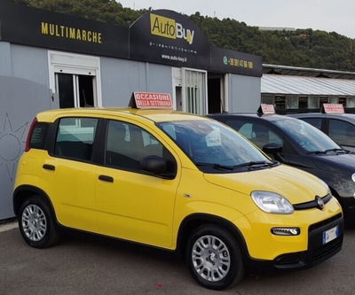 Fiat Panda Cross Cross 1.0 FireFly S&S Hybrid usata