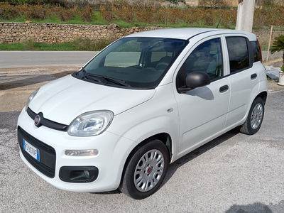 Fiat Panda 1.2 Pop usata