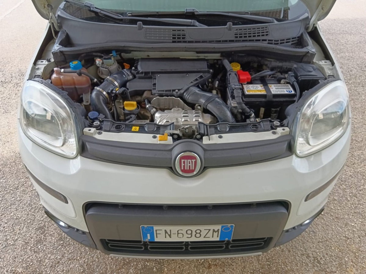 Fiat Panda 1.3 MJT 95 CV S&S 4x4 (18)