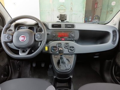 Fiat Panda van 1.0 hybrid Street 70cv 4p.ti serie 4 E6d (12)