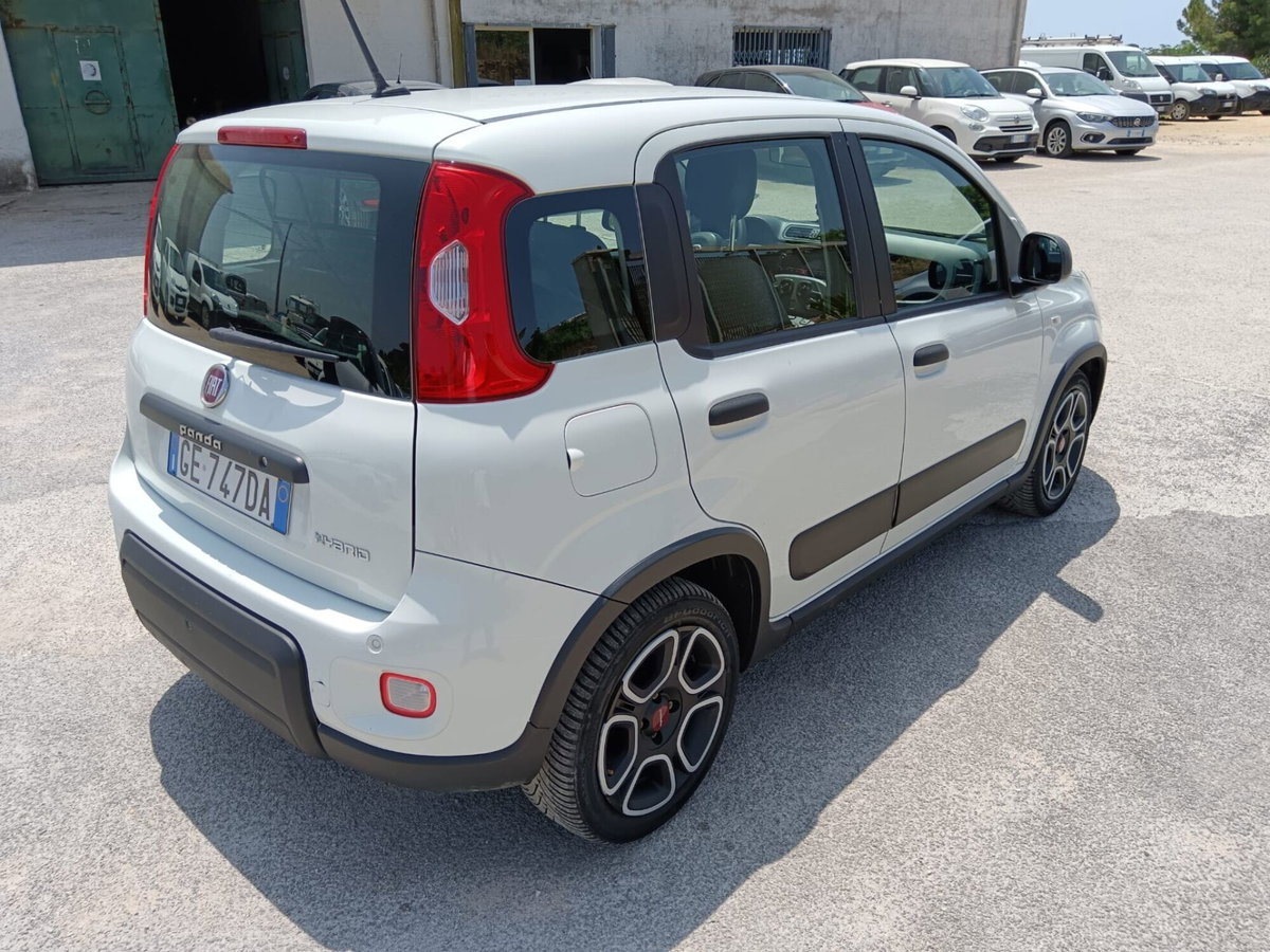 Fiat Panda van 1.0 hybrid Street 70cv 4p.ti serie 4 E6d (5)