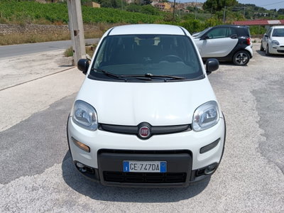 Fiat Panda van 1.0 hybrid Street 70cv 4p.ti serie 4 E6d (8)