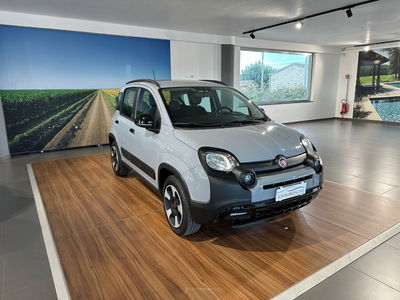 Fiat Panda 1.2 City Cross usata
