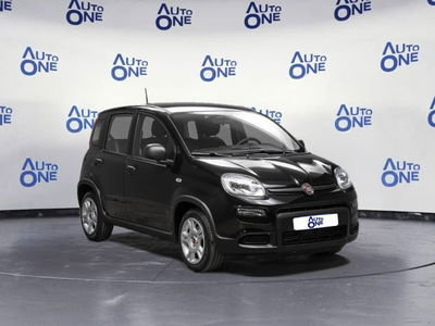 Fiat Panda 1.0 FireFly S&S Hybrid City Cross usata