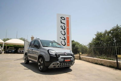 Fiat Panda 1.0 FireFly S&S Hybrid City Cross usata