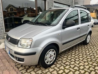 Fiat Panda 1.2 usata