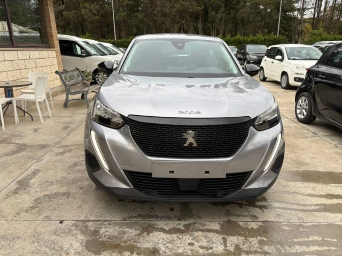 Peugeot 2008 BlueHDi 110 S&S Active Pack (2)