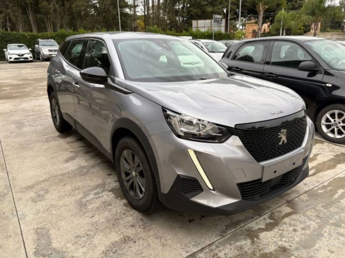 Peugeot 2008 BlueHDi 110 S&S Active Pack (3)