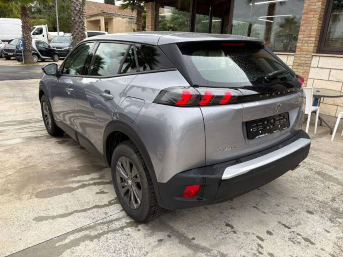 Peugeot 2008 BlueHDi 110 S&S Active Pack (6)