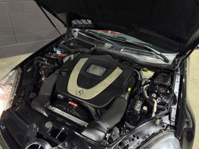Mercedes-Benz SLK 55 cat AMG (14)