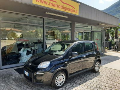 Fiat Panda 1.0 firefly hybrid s&s 70cv 5p.ti usata
