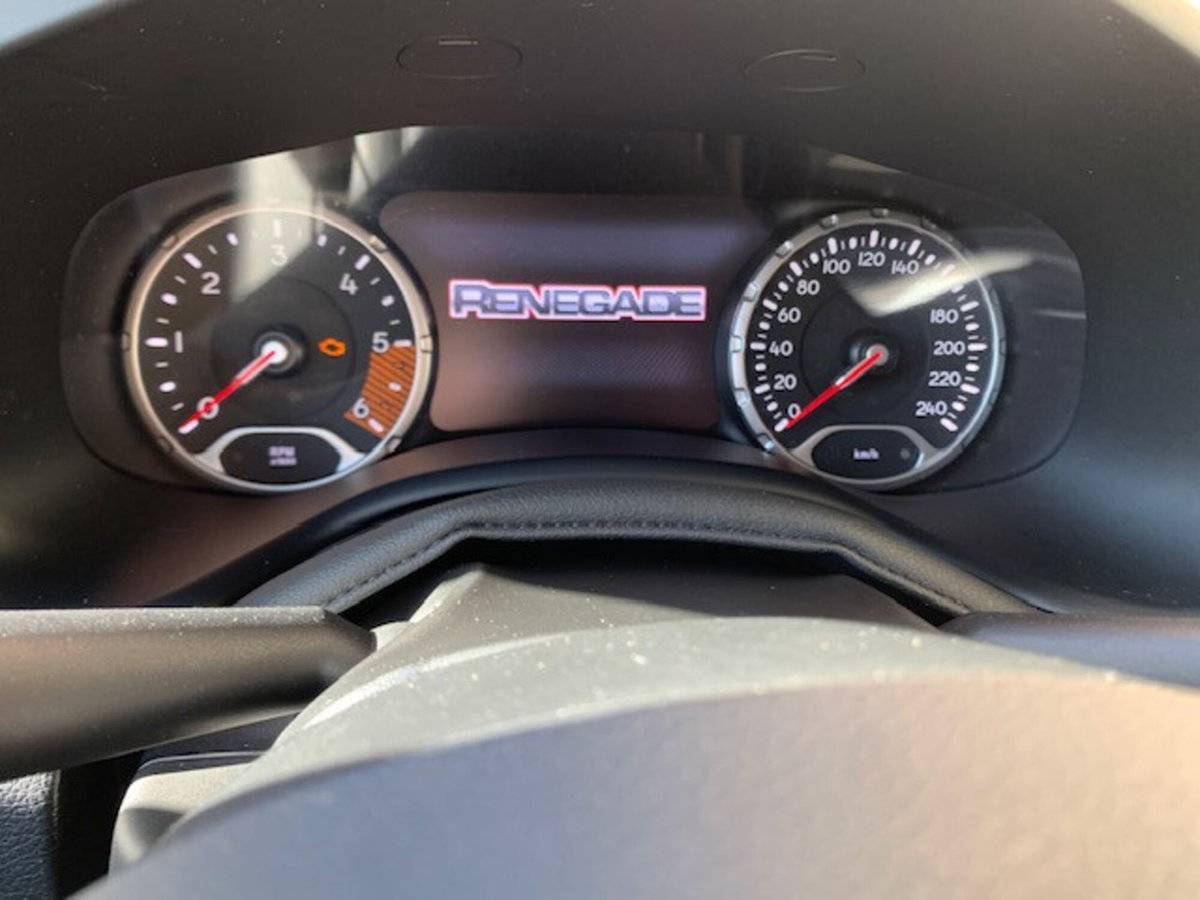 Jeep Renegade 1.6 Mjt 130 CV Limited (12)