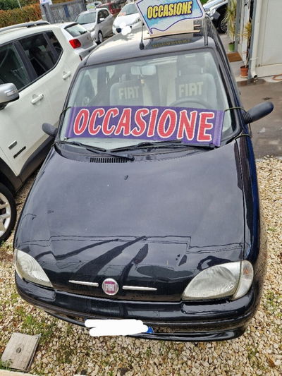 Fiat 600 1.1 Active usata