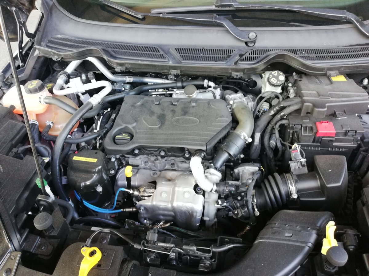 Ford EcoSport 1.5 TDCi 100 CV Start&Stop Plus (18)