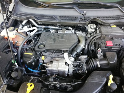 Ford EcoSport 1.5 TDCi 100 CV Start&Stop Plus (18)
