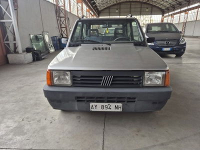 Fiat Panda 900 i.e. cat Young