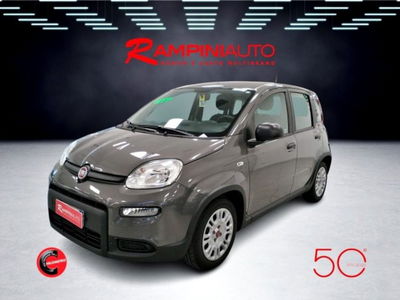 Fiat Panda 1.0 firefly hybrid s&s 70cv 5p.ti usata