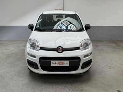Fiat Panda 1.2 Easy Van 4 posti usata