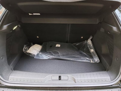 Alfa Romeo Junior elettrica Speciale 156cv (18)