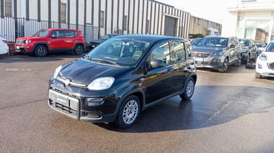 Fiat Panda 1.0 firefly hybrid s&s 70cv 5p.ti usata