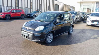 Fiat Panda 1.0 firefly hybrid s&s 70cv 5p.ti usata