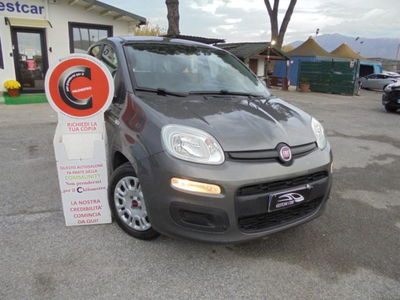 Fiat Panda 1.0 firefly hybrid s&s 70cv usata