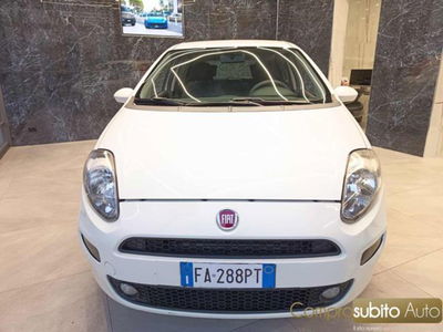 Fiat Punto 1.2 8V 5 porte Lounge usata