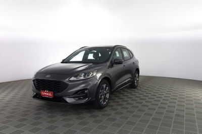 Ford Kuga 1.5 EcoBlue 120 CV 2WD ST-Line usata