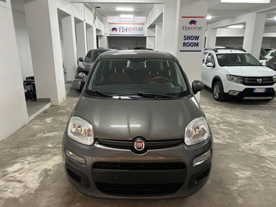 Fiat Panda 1.2 Easy usata