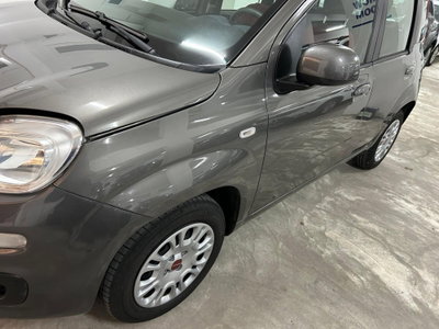Fiat Panda 1.2 Easy (19)