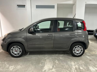 Fiat Panda 1.2 Easy (5)