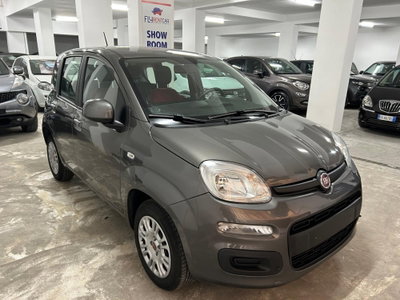 Fiat Panda 1.2 Easy (6)