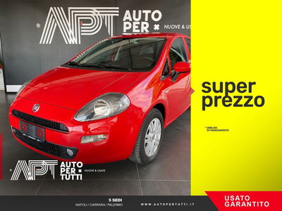 Fiat Punto 1.2 8V 5 porte Street usata