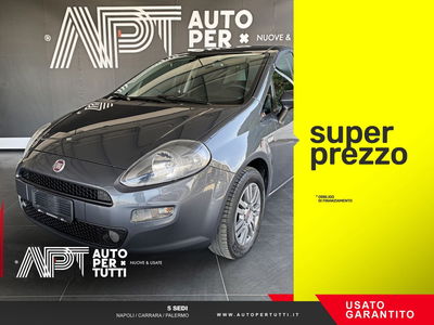 Fiat Punto 1.2 8V 5 porte Street usata