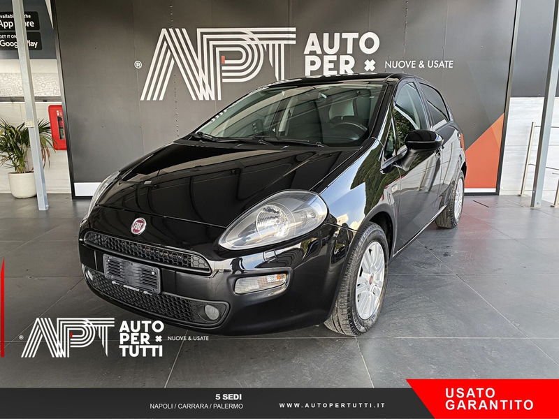 Fiat Punto 1.2 8V 5 porte Street