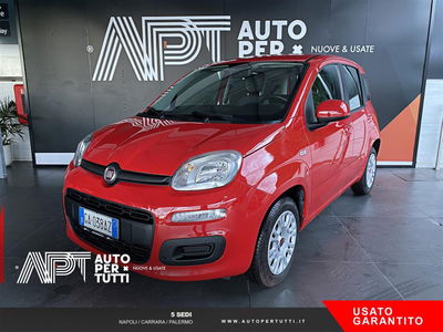 Fiat Panda 1.2 Easy usata